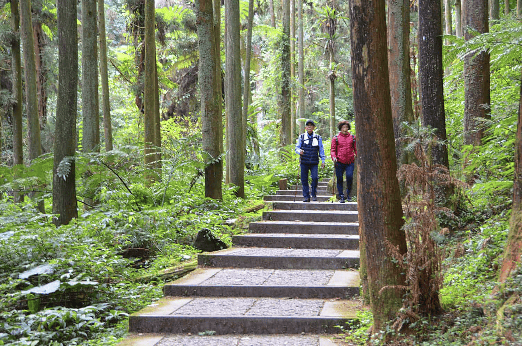 壯世代重視養生與居住環境 中部掀起休閒渡假健康宅熱潮